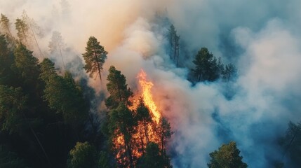 Forest Fire with Smoke and Flames in Natural Landscape