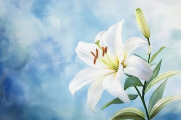 Fototapeta premium Watercolor Painting of a White Lily Flower Against a Blue Background.