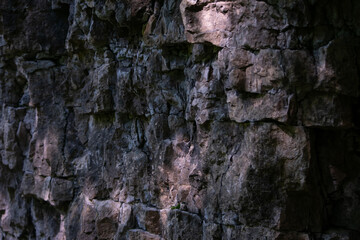 Nature’s Vertical Canvas