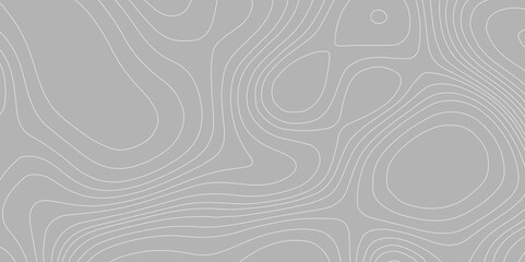 Panorama view grey wave curve lines banner design futuristic landscape grey background, vector modern illustration from wave grey lines geometric luxury abstract topography map contour background.