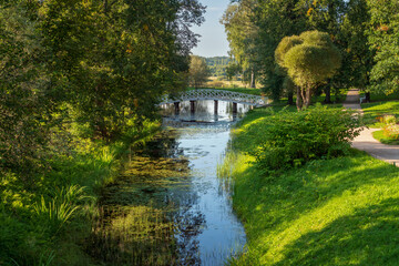 A wooden bridge over the pond 