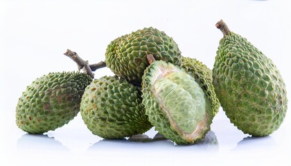 Cempedak on white background. Cempedak Fruit Isolated.