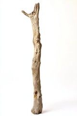 Naklejka premium Close-up of a weathered, rustic wooden stick standing upright against a white background, highlighting natural texture and pattern.