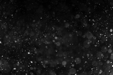 Obraz premium Falling real snowflakes, heavy snow