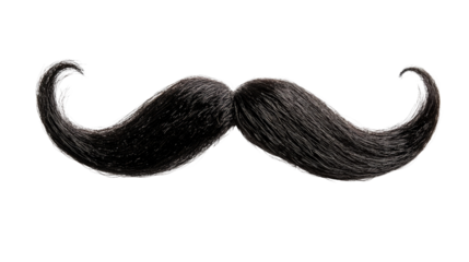 mustache on a transparent background