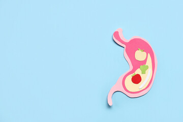 Paper human stomach on color background