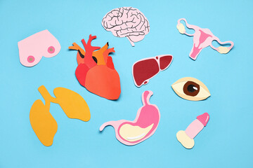 Set of paper human organs on color background