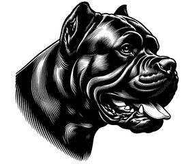 Hand drawn fierce Cane Corso portrait, vector sketch isolated on white background.	