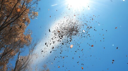 A swirling mass of leaves illuminated by sunlight against a clear blue sky.