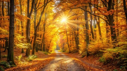 Sunlight filtering through vibrant fall foliage on a forest path, creating a golden glow , Sun-drenched, forest, path
