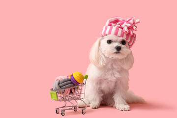 Cute Bolognese dog in hat and shopping cart with toys on pink background