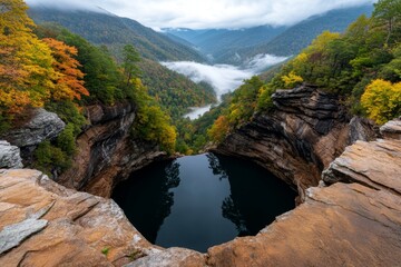A deep wilderness valley covered in mist, where the trees and cliffs rise from the fog, creating a serene yet wild atmosphere.