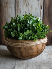 A wooden bowl with a rustic twine accent filled with a green bush.