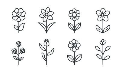 Collection of Line Drawings of Flowers