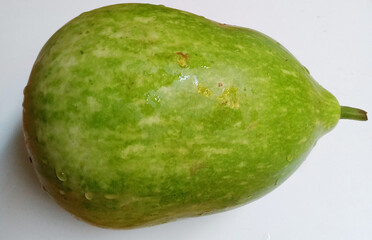 A fresh green Round Gourd is isolated on a white background.