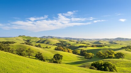 Obraz premium Peaceful View of Colorful Trees Amidst Rolling Hills under Clear Blue Sky