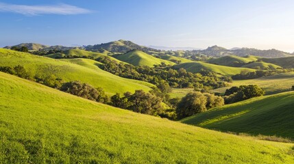 Tranquil Beauty of Colorful Trees on Rolling Hills under Clear Blue Sky