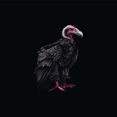 Vector illustration of a vulture