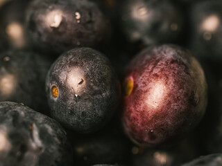 Obraz premium Close up of blueberries