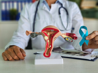 Gynecologist and female reproductive system model and shows turquoise ribbon to raise awareness of...