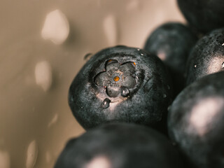 Close up of blueberries