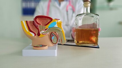 Urologist discusses the impact of alcohol on male reproductive health