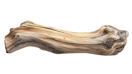driftwood log on transparent background