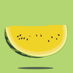 fresh watermelon vector illustration