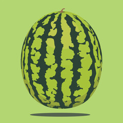 fresh watermelon vector illustration