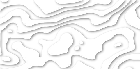 Abstract lines background. Topo contour map on white background, Topographic contour lines vector map. Abstract lines background. Topo contour map on white background, Abstract wavy line 3d paper cut 