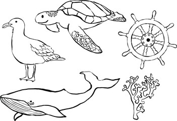 Ilustraciones náuticas dibujadas a mano. Iconos para invitaciones, papelería, diseño. Clipart del océano. Playa. Mar