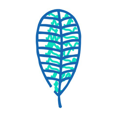 plumeria tropical leaf doodle icon sketch vector. plumeria tropical leaf sign. isolated symbol illustration