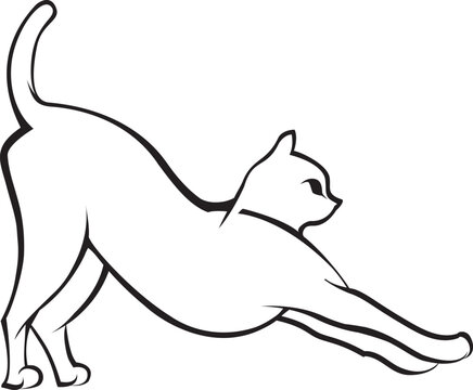 Black and White Cat Line art vector illustration