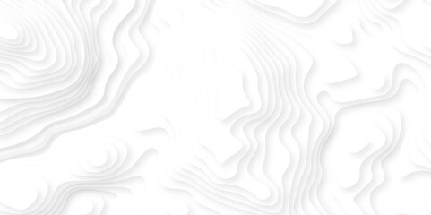 Colorful and white wave. Abstract paper cut. Color geometric form. Wave paper cut. Map line of topography. Map mockup