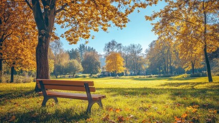 Lonely Bench in autumn Park with city view red and yellow maple trees and blue sky,Autumn forest path,Lawn in autumn city park in Sunny day,Trees with yellow leaves in park,Natural Wallpaper.