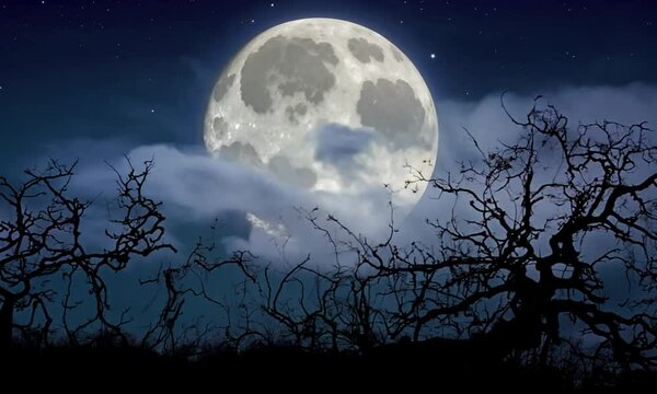 Halloween background of a full moon night