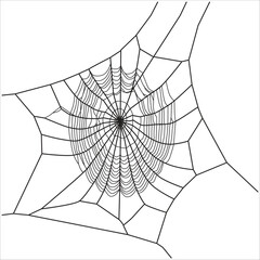 Obraz premium Neatly Crafter Spider Web To Catch Insect 