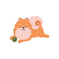 Vector illustration of a cute orange-colored pomeranian lying next to its toy ball