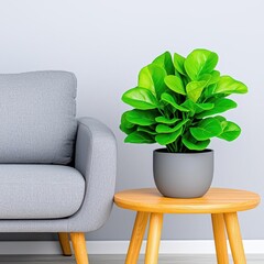 A photostock images of a stylish living space with a gray sofa, wooden coffee table, and potted plants adding greenery