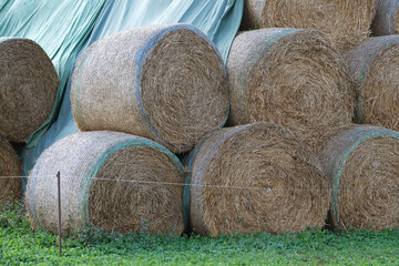 Landwirtschaft, Strohballen auf einem Bauernhof
