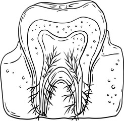 sketch nervous teeth