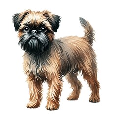 ブリュッセルグリフォンBrussels Griffon