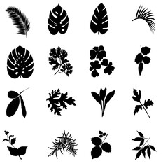 Custom transparent tropical leaf backgrounds can be used to decorate any project.