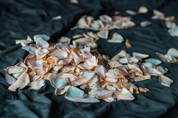 Rose petals on the bed