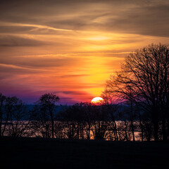 sunset, lakeside, sun disc, silhouettes of trees, colors, orange, magenta, red, sky, clouds, landscape, trees, silhouette, evening, color, beautiful