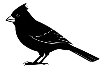 cardinal silhouette vector, Cardinal bird icon vector