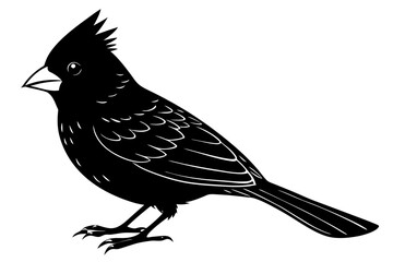 
Cardinal bird vector silhouette, cardinal bird animal black vector icon
