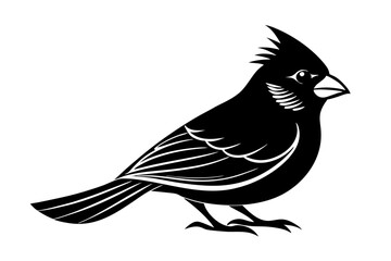 
Cardinal bird vector silhouette, cardinal bird animal black vector icon
