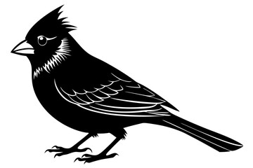 
Cardinal bird vector silhouette, cardinal bird animal black vector icon
