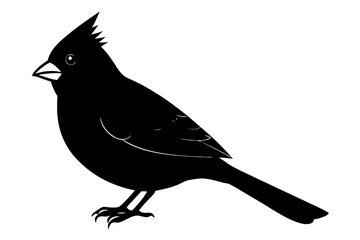 
Cardinal bird vector silhouette, cardinal bird animal black vector icon
